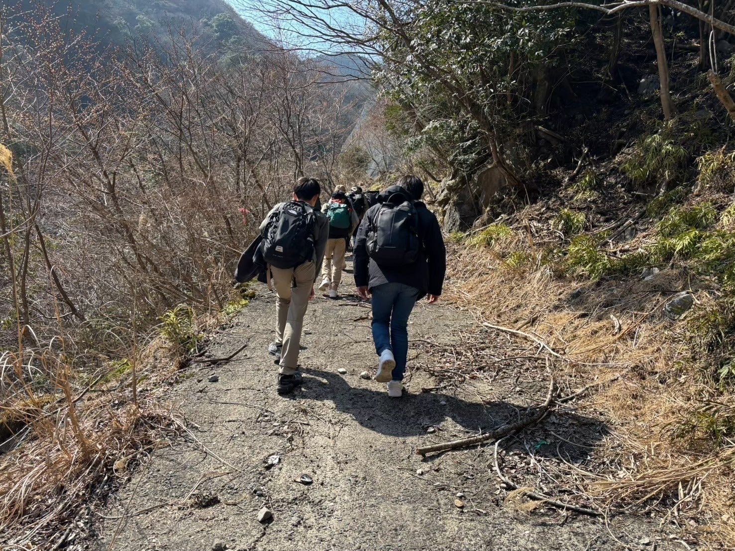 2番目のメイン画像