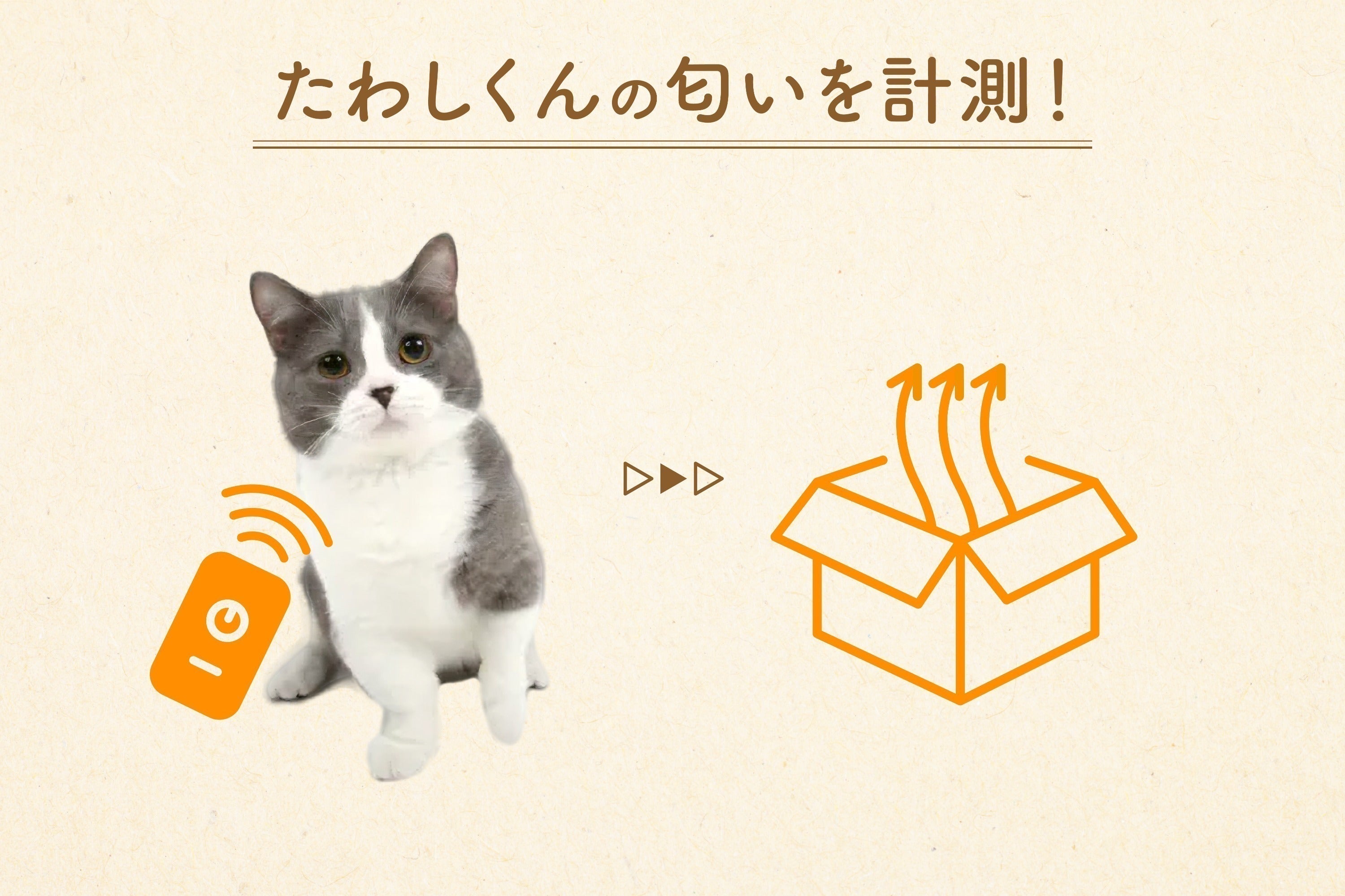 猫吸い体験してみにゃい?喫猫所(きつねこじょ)「にゃんPOD 猫吸い体験してみにゃい?喫猫所(きつねこじょ)「にゃんPOD