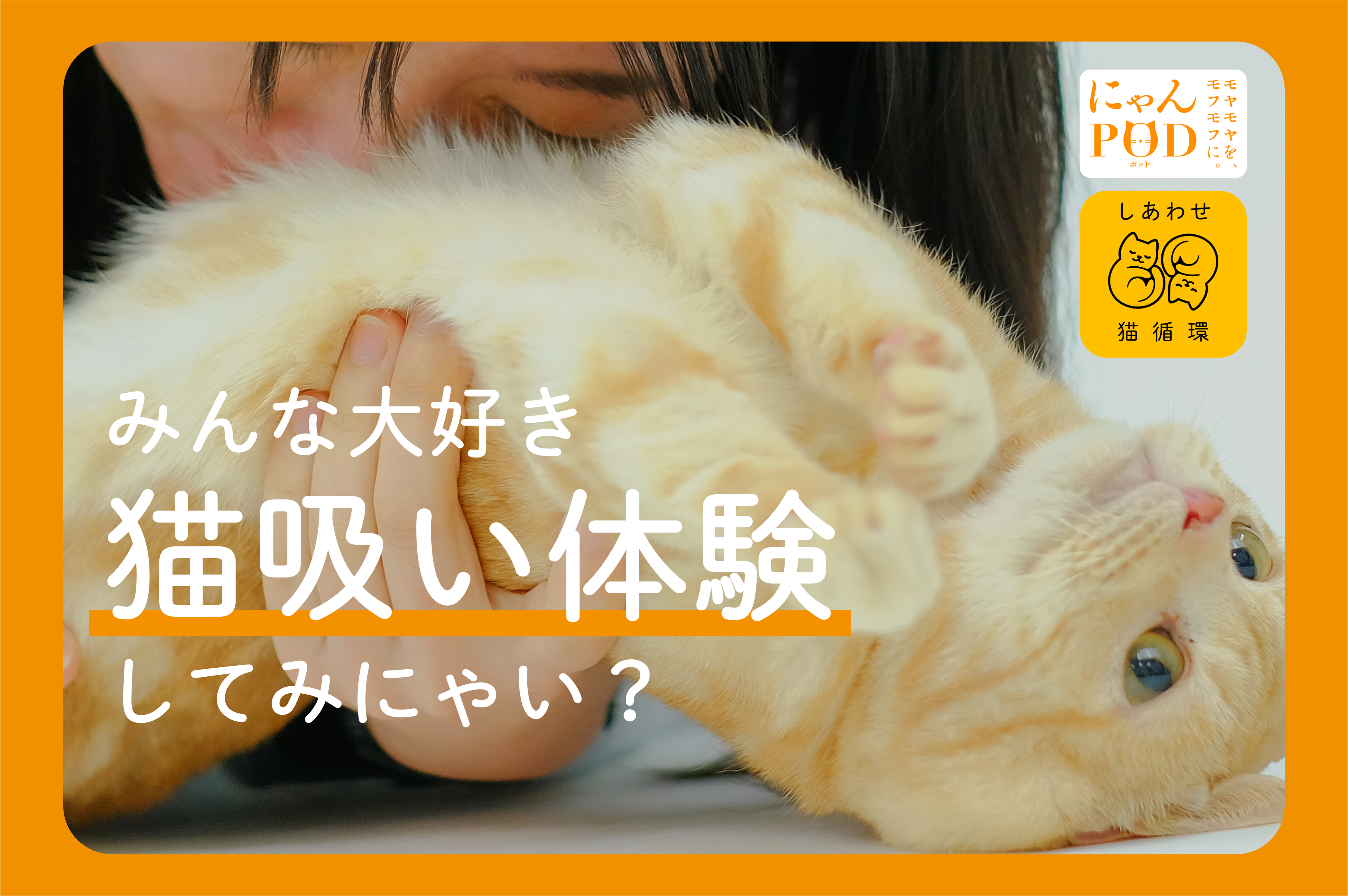 edb91ed3-bc92-48f8-9800-