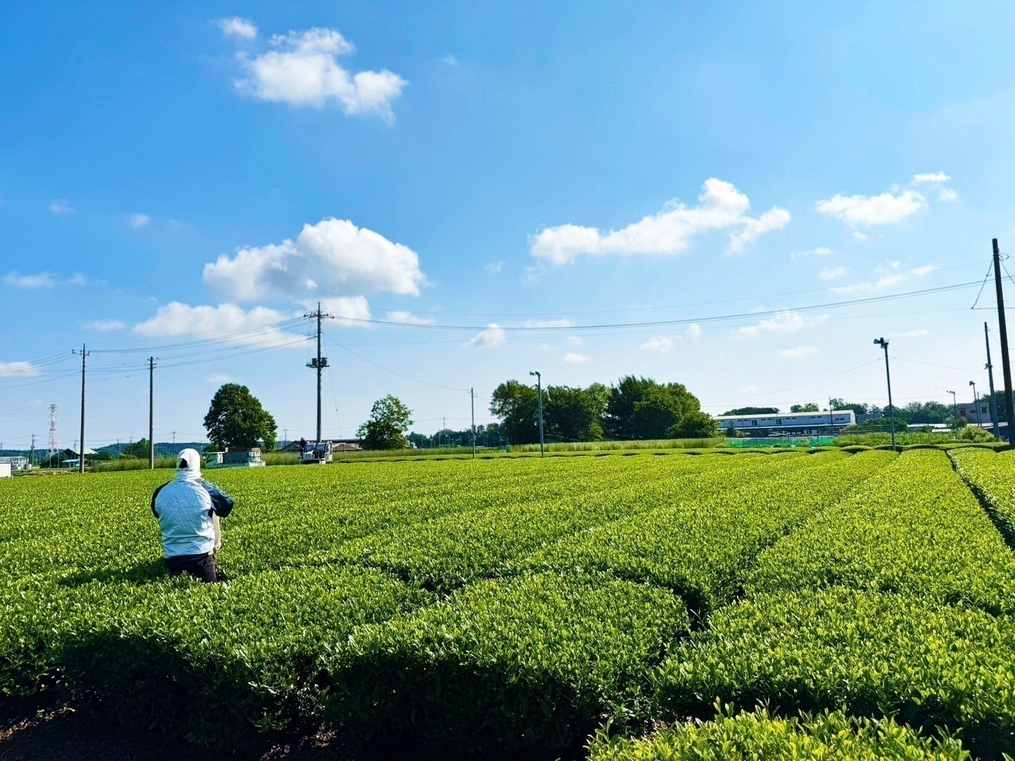 4番目のメイン画像