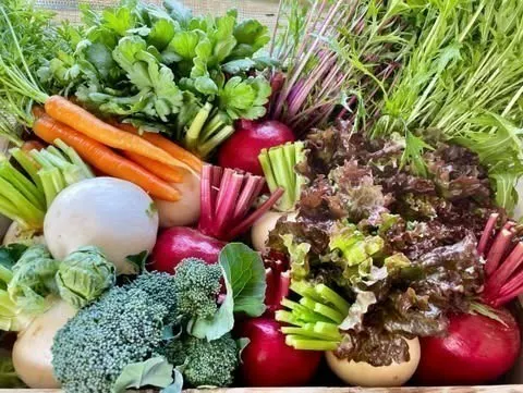 5番目のメイン画像