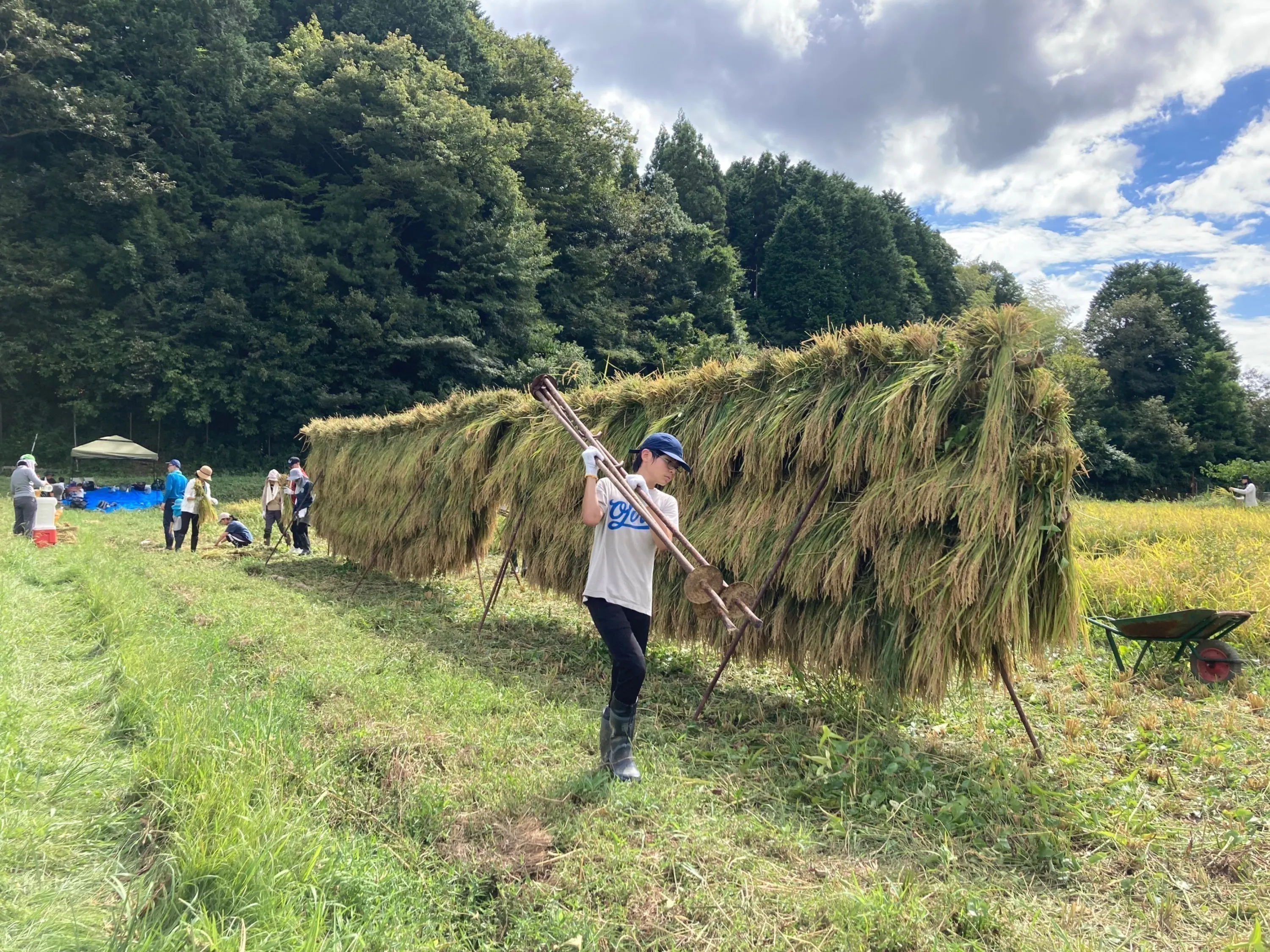 5番目のメイン画像