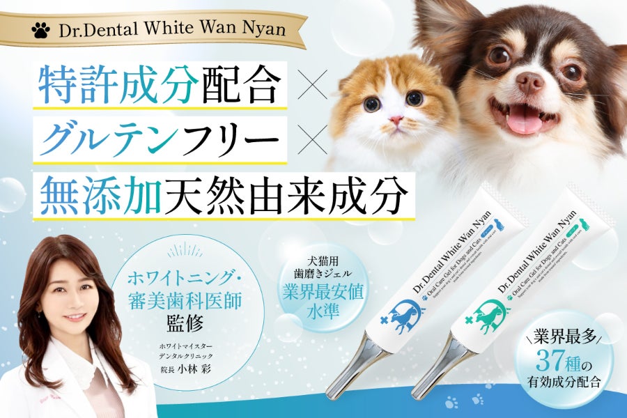 Dr. Dental Wan デンタルケア 4個セット 【公式通販】