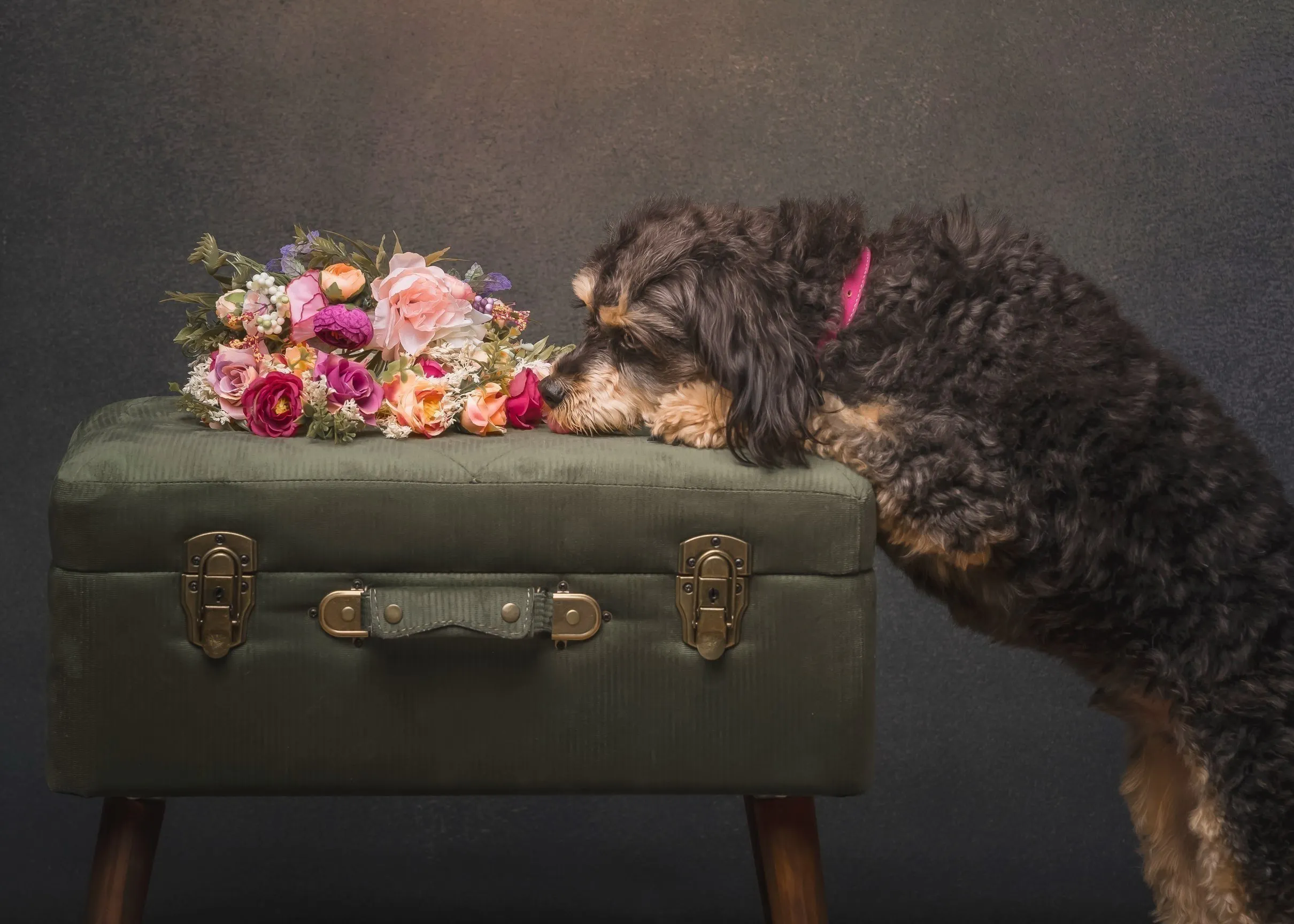 4番目のメイン画像