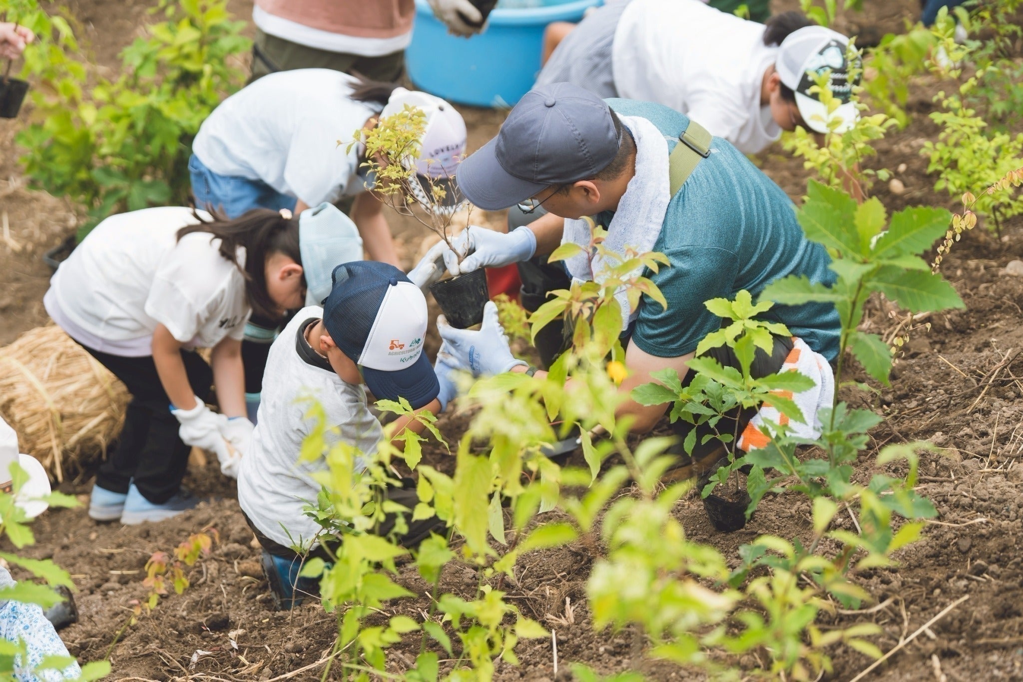 4番目のメイン画像