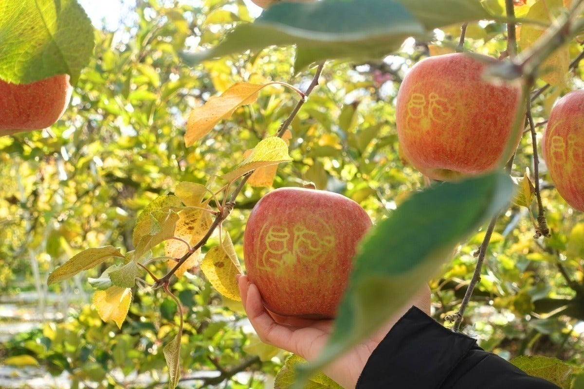 4番目のメイン画像