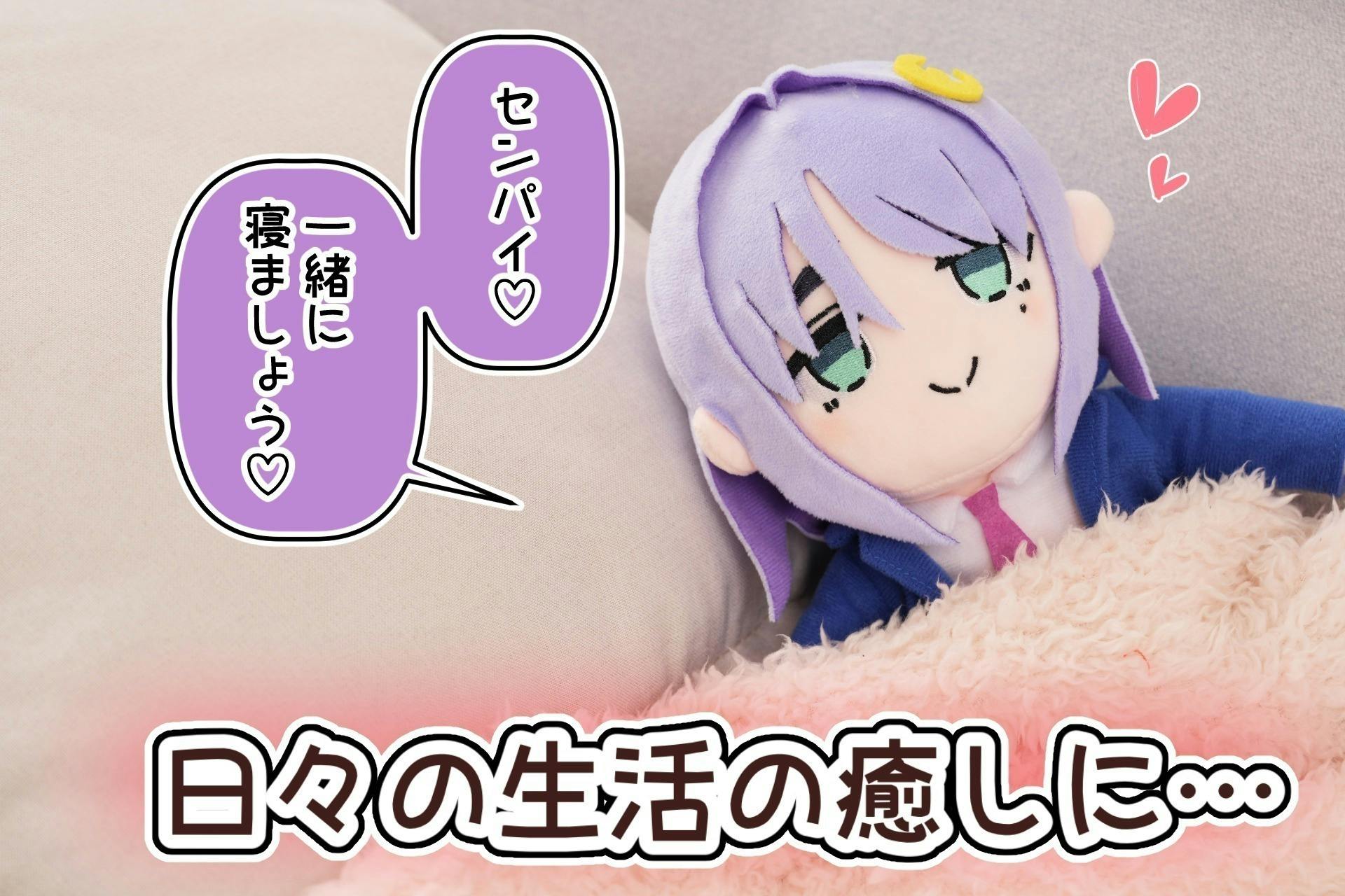 日々の生活の癒しに‥♡後輩ちゃんぬいぐるみプロジェクト