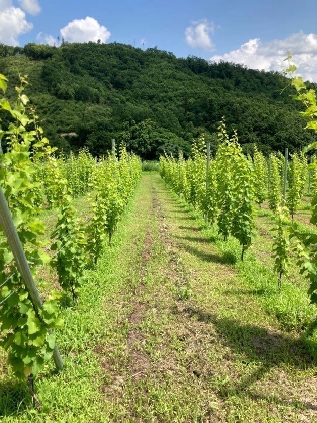 4番目のメイン画像