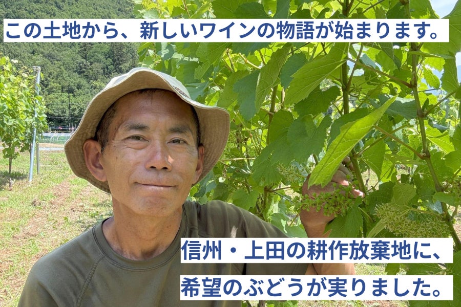 遊休農地から始めたワイン造り。アラ還が挑戦する夢の1本を届けます