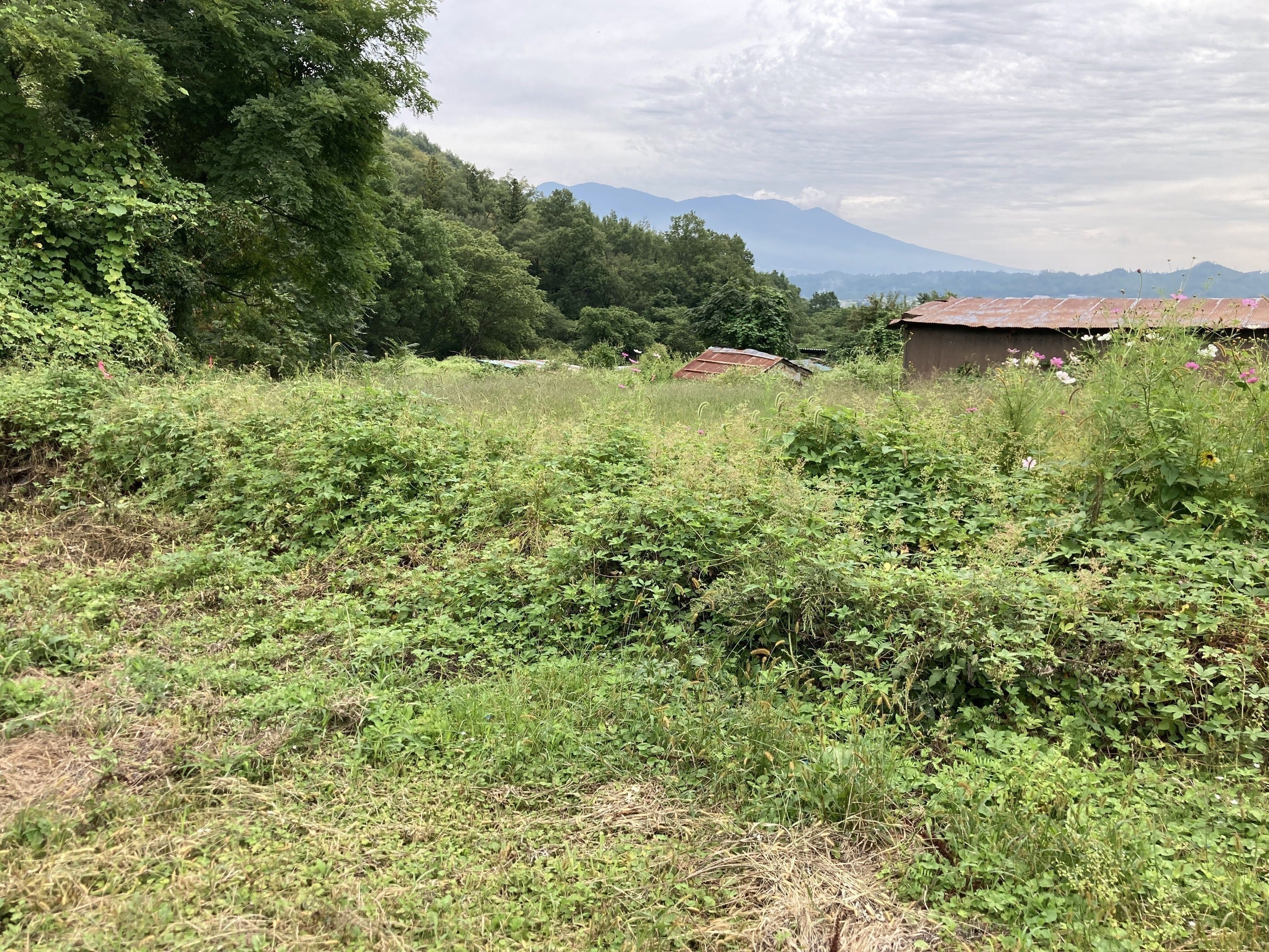 2番目のメイン画像