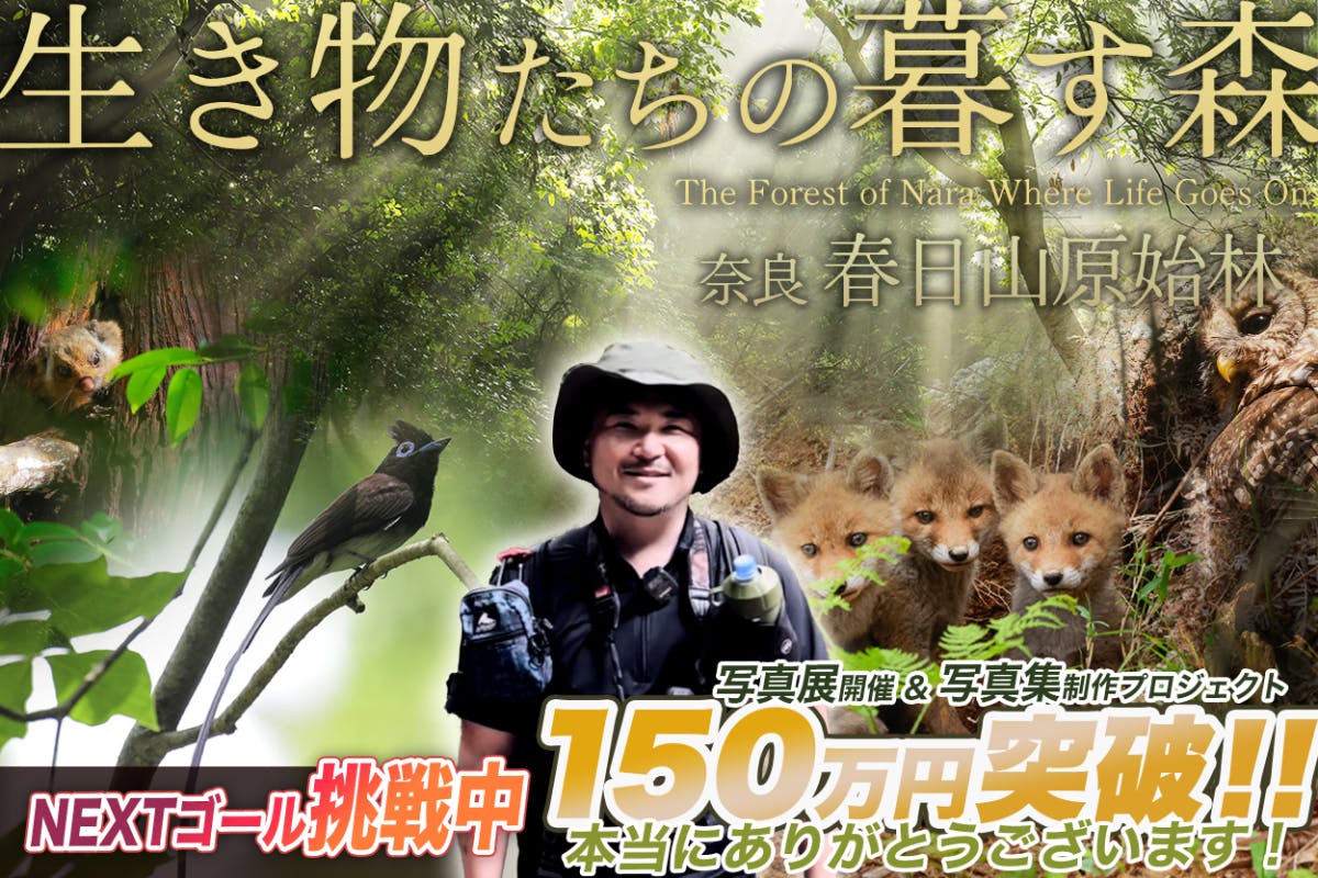 世界遺産・春日山原始林いのちの森を未来へ！】佐藤和斗写真集