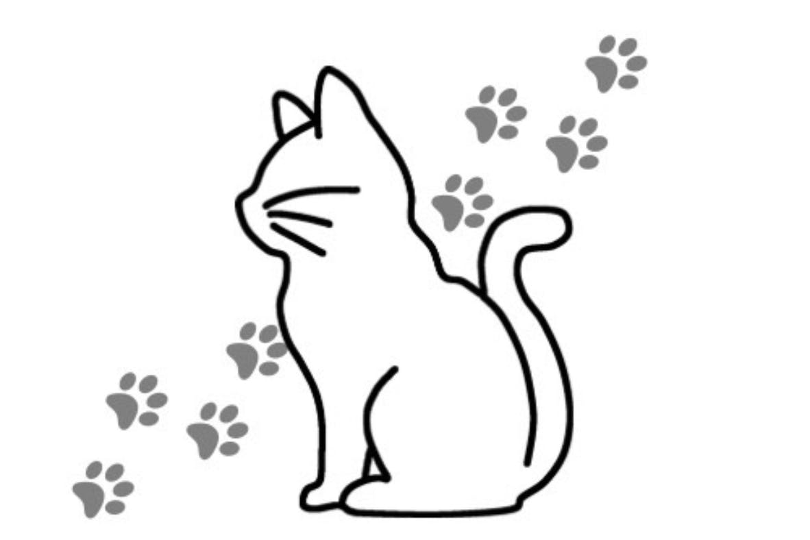 小さな命の、かけがえのない居場所