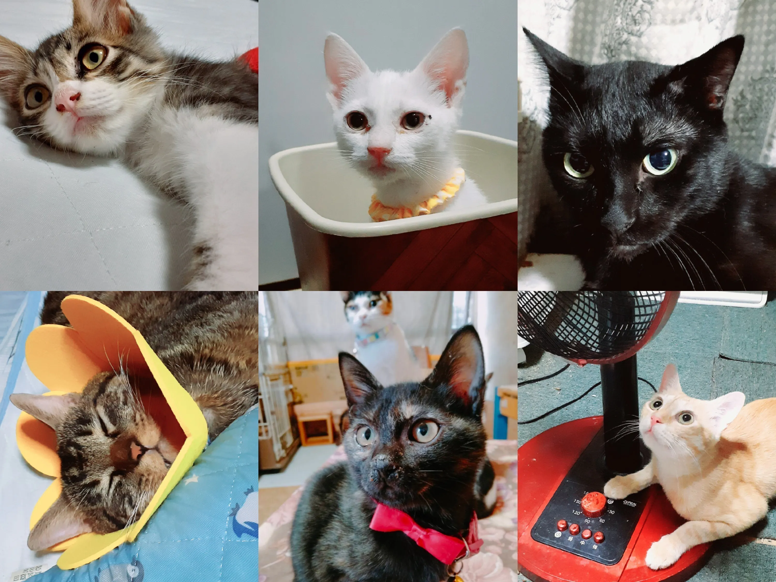 5番目のメイン画像