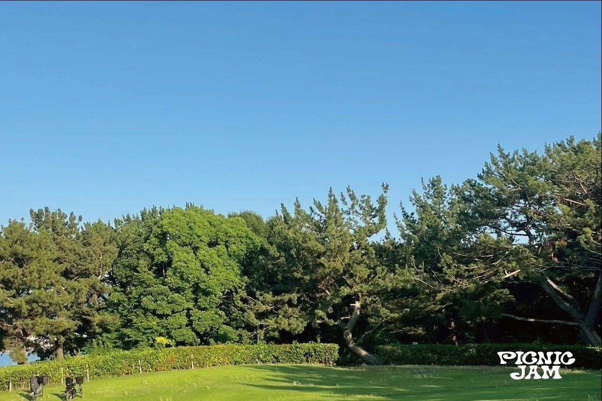 3番目のメイン画像