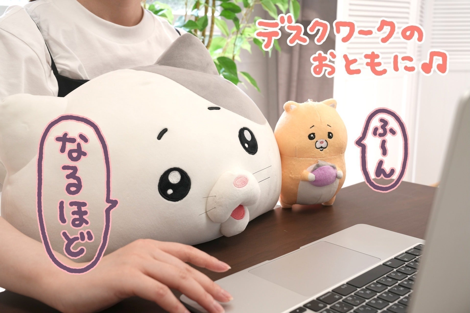 2番目のメイン画像