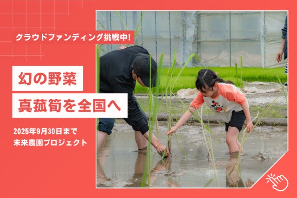 耕作放棄地の救世主、和歌山で育つ“幻の高級野菜”マコモダケを全国へ