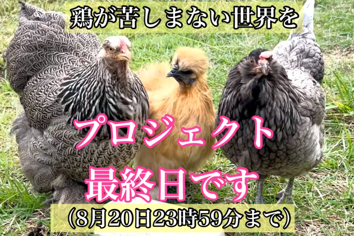 1番目のメイン画像