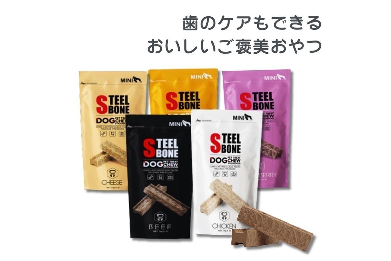 激レア　新品　犬のおやつメーカーBake a Bone　骨型　レシピブックレット 激レア 新品 犬のおやつメーカーBake a Bone 骨型 レシピブックレット