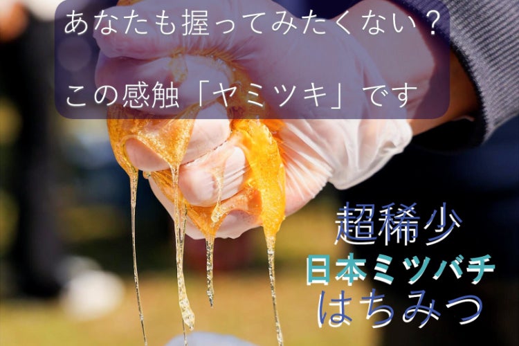車の町 豊田市で日本みつばちとの共生 - CAMPFIRE (キャンプファイヤー)