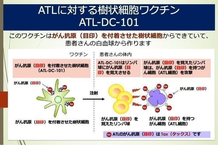 JAHA国際セミナー　第154回血液関連腫瘍と最新の腫瘍免疫学 JAHA国際セミナー 第154回血液関連腫瘍と最新の腫瘍免疫学