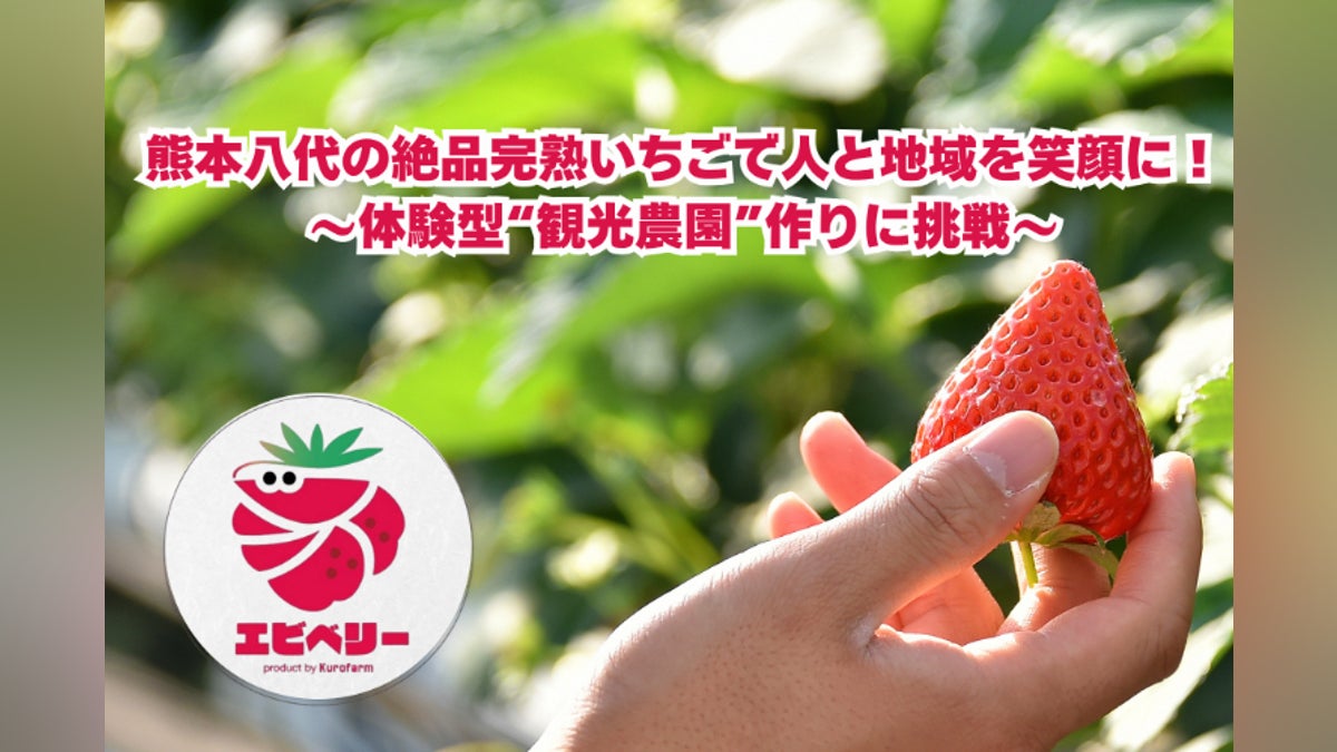 熊本八代の絶品完熟いちごで人と地域を笑顔に - CAMPFIRE (キャンプ 熊本八代の絶品完熟いちごで人と地域を笑顔に - CAMPFIRE (キャンプ