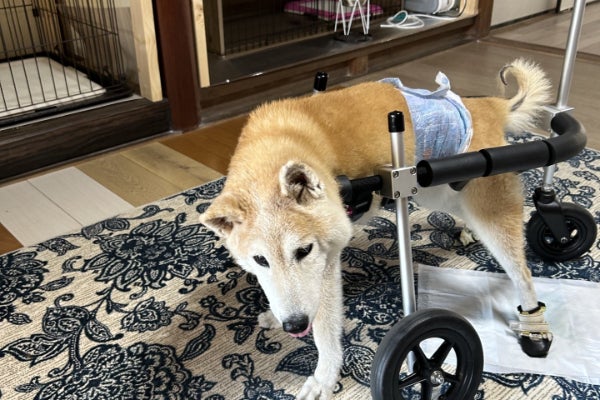 1番目のメイン画像