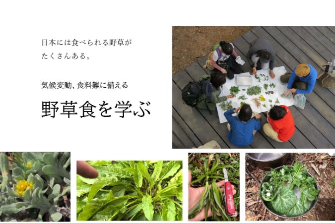 野草食協会~気候変動時代を生き抜く! 食材としての野草の使い方。
