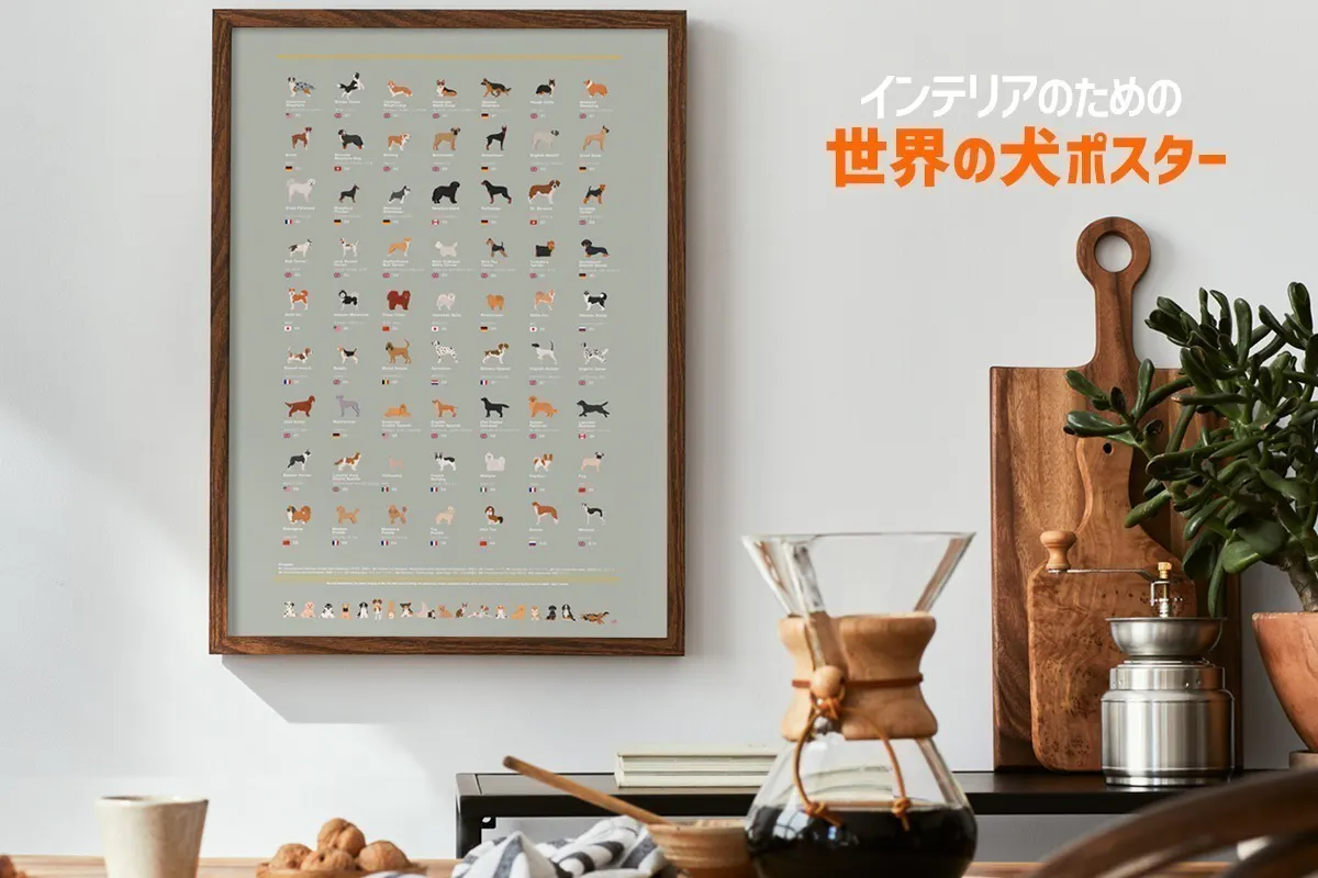 2番目のメイン画像