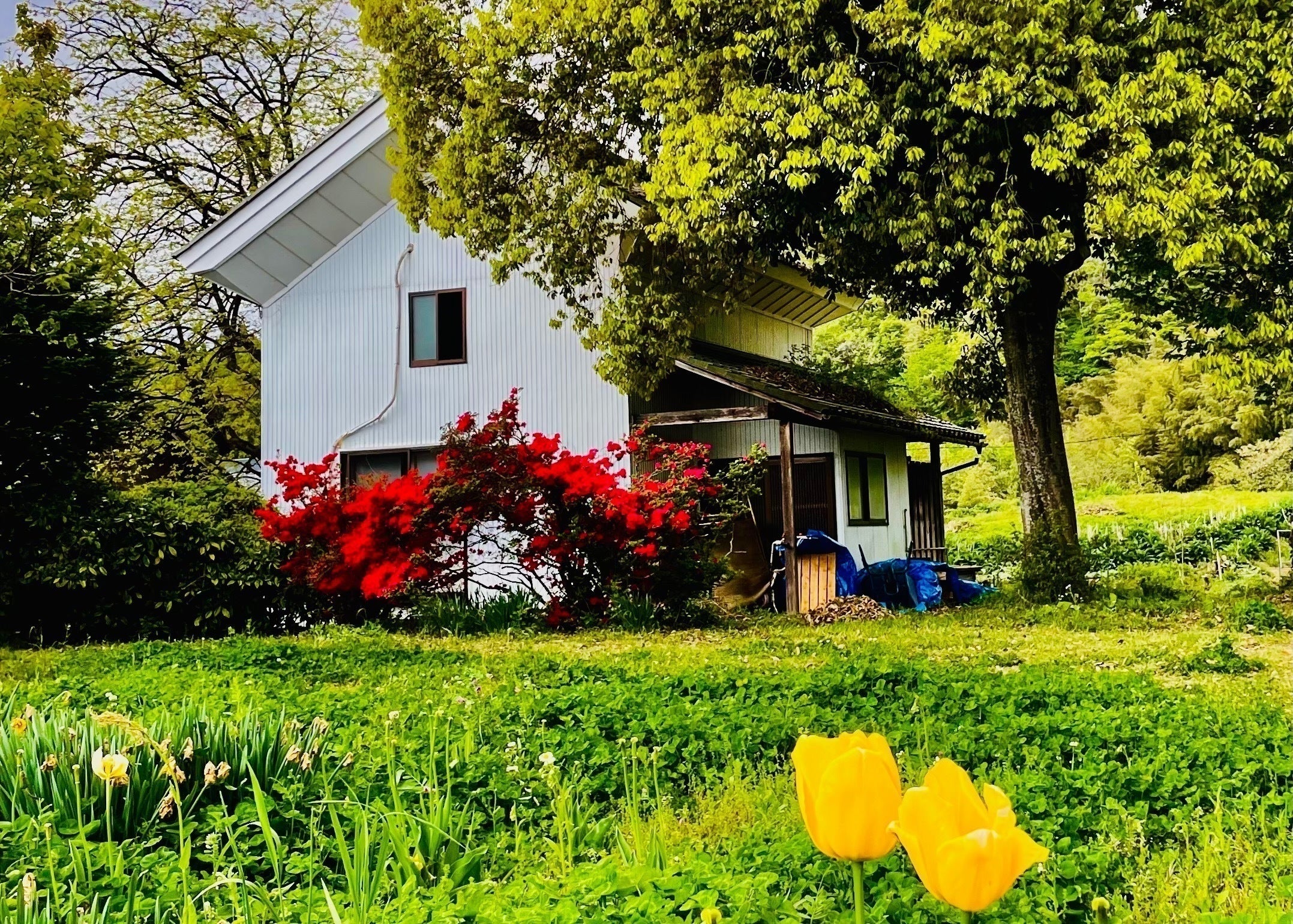 2番目のメイン画像