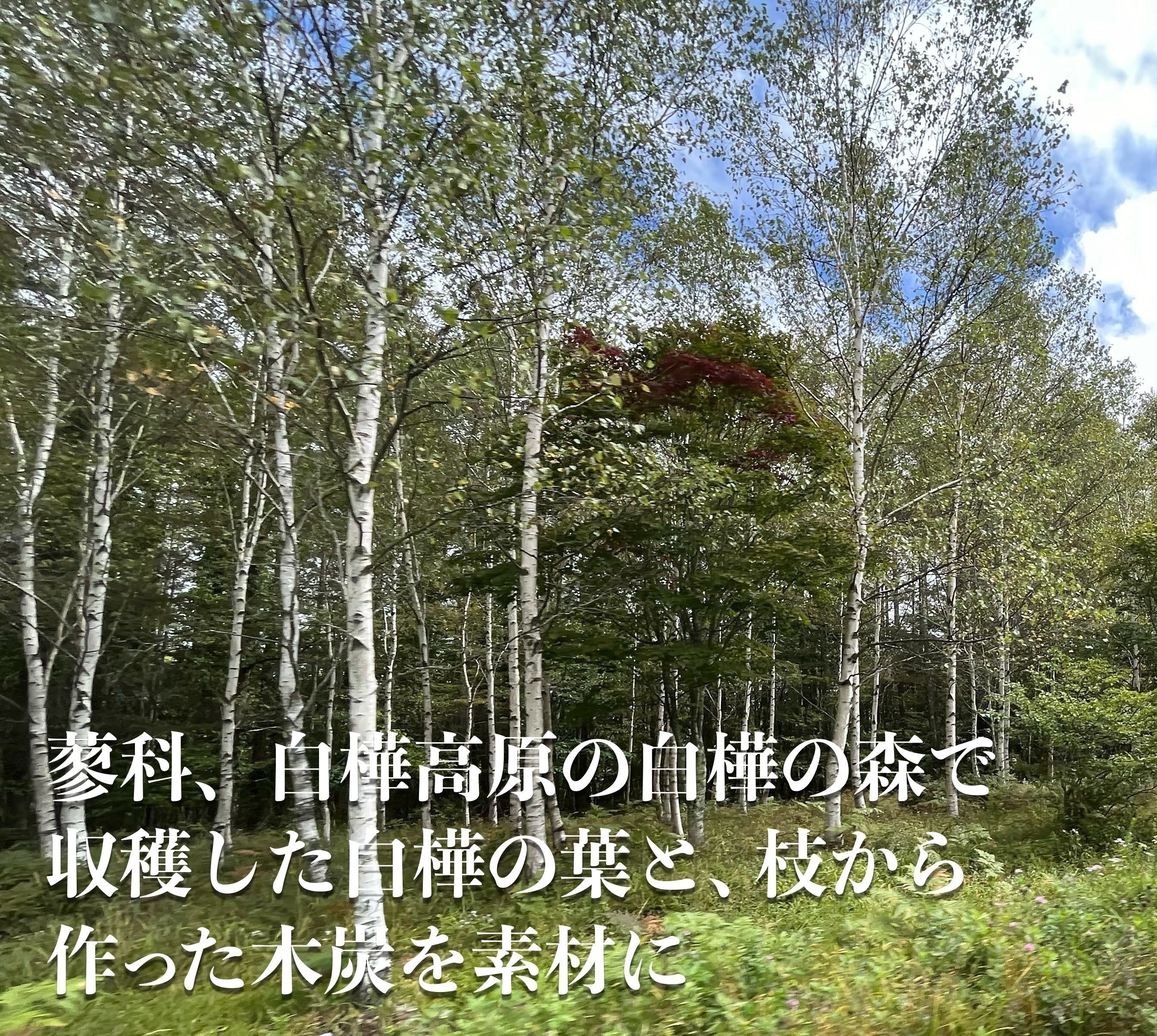 2番目のメイン画像