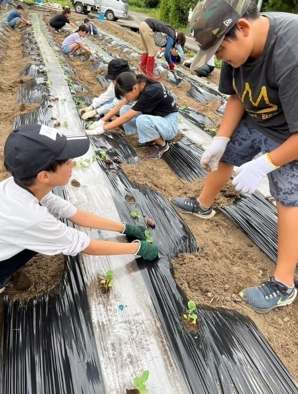 2番目のメイン画像