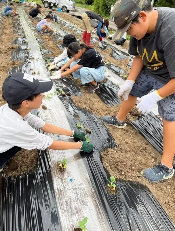 2番目のメイン画像