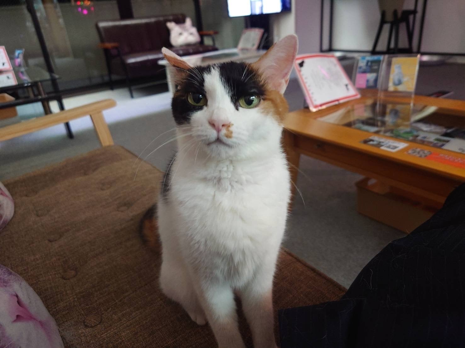 2番目のメイン画像