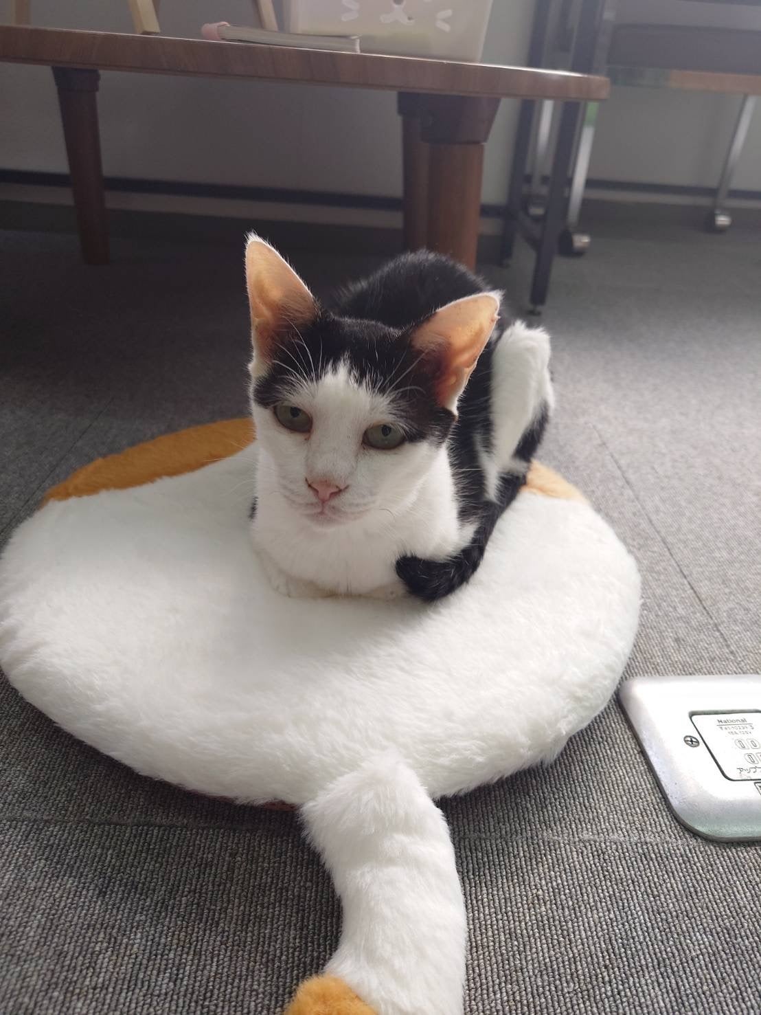 3番目のメイン画像