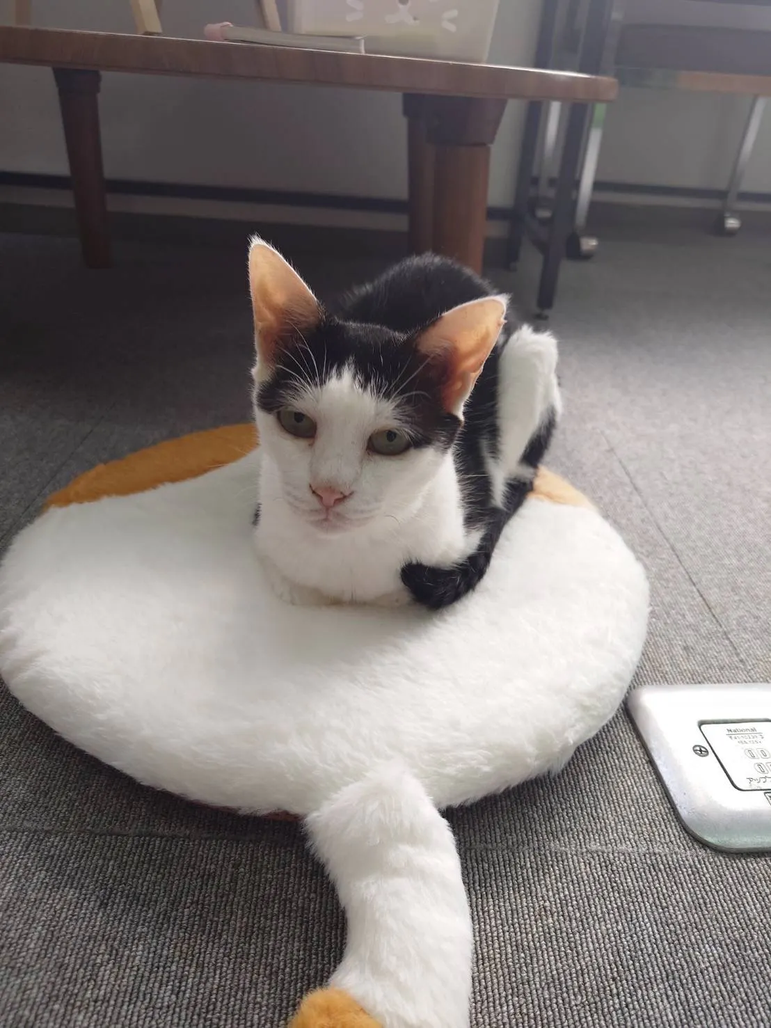 3番目のメイン画像