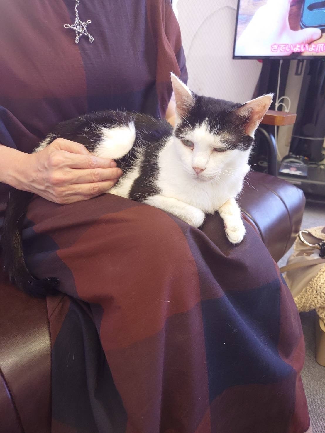 4番目のメイン画像