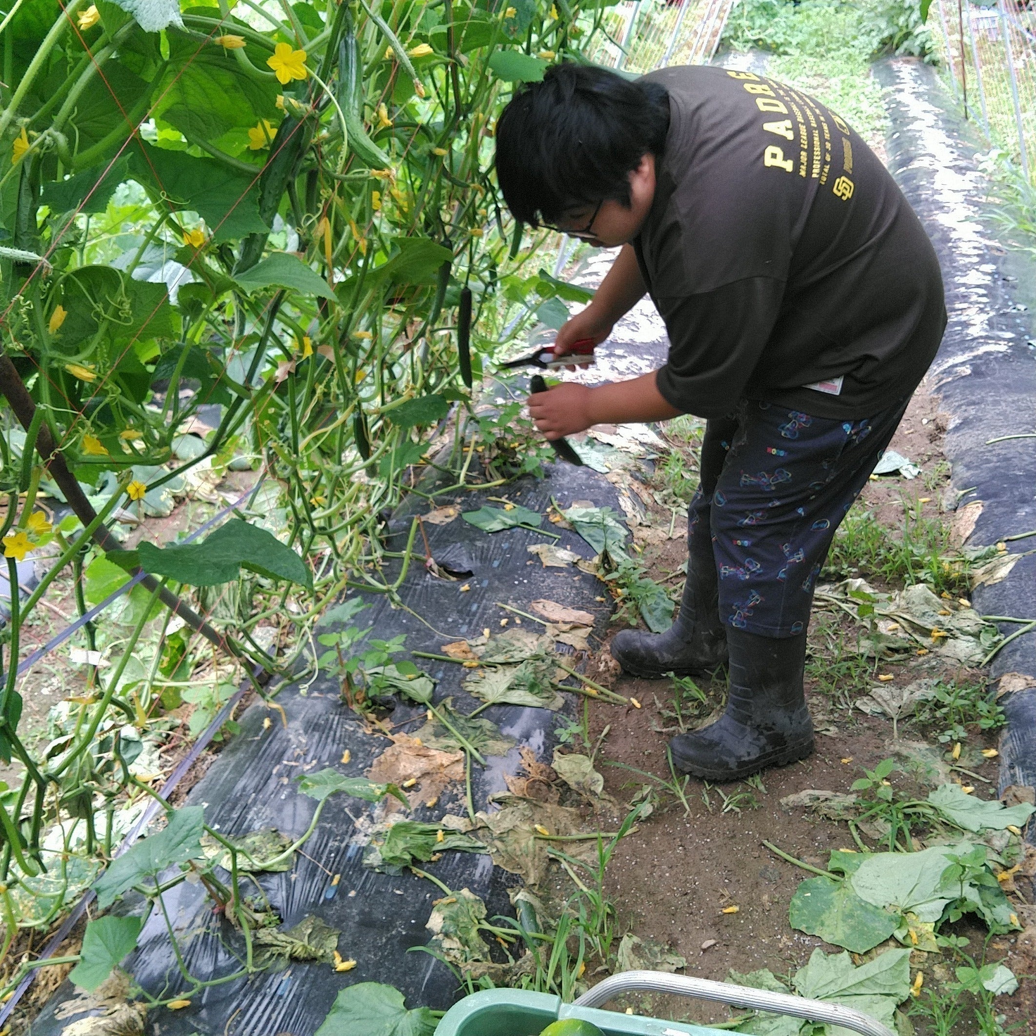 4番目のメイン画像