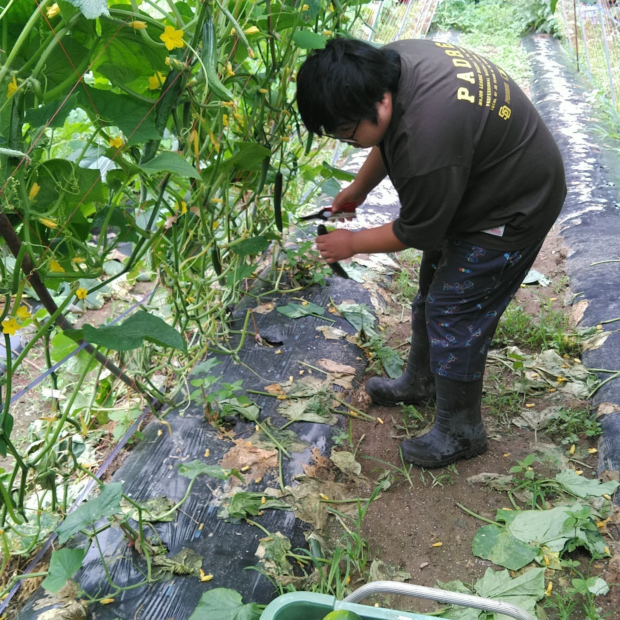 4番目のメイン画像