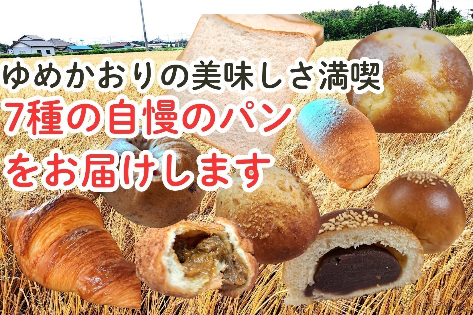 茨城県龍ケ崎市から「ゆめかおり」のパンを沢山の人に届けて未来 茨城県龍ケ崎市から「ゆめかおり」のパンを沢山の人に届けて未来