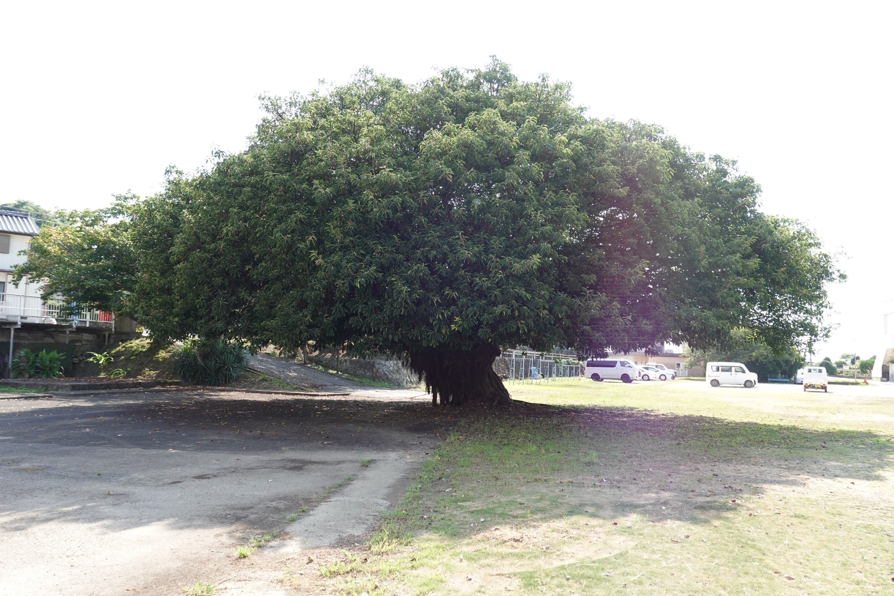 3番目のメイン画像