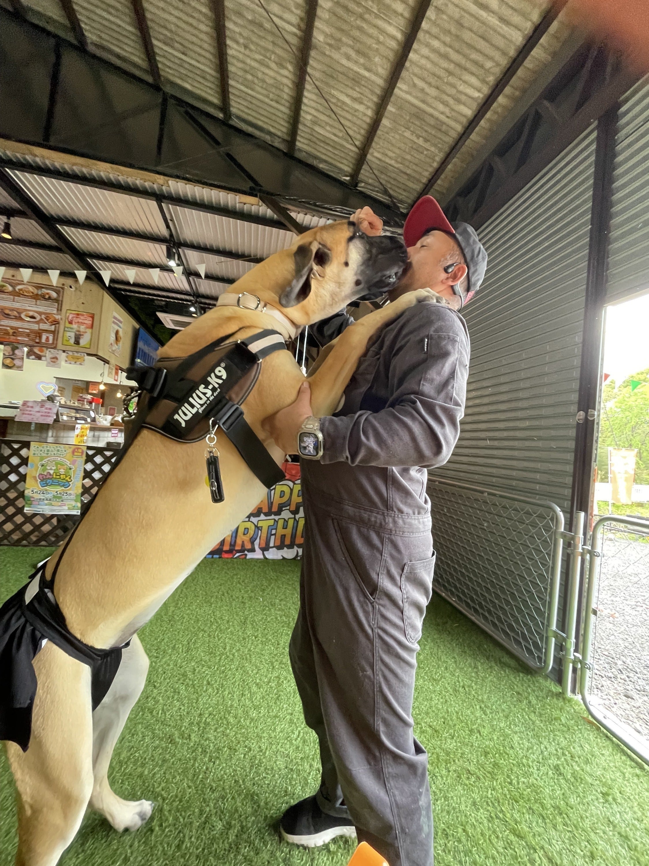 5番目のメイン画像