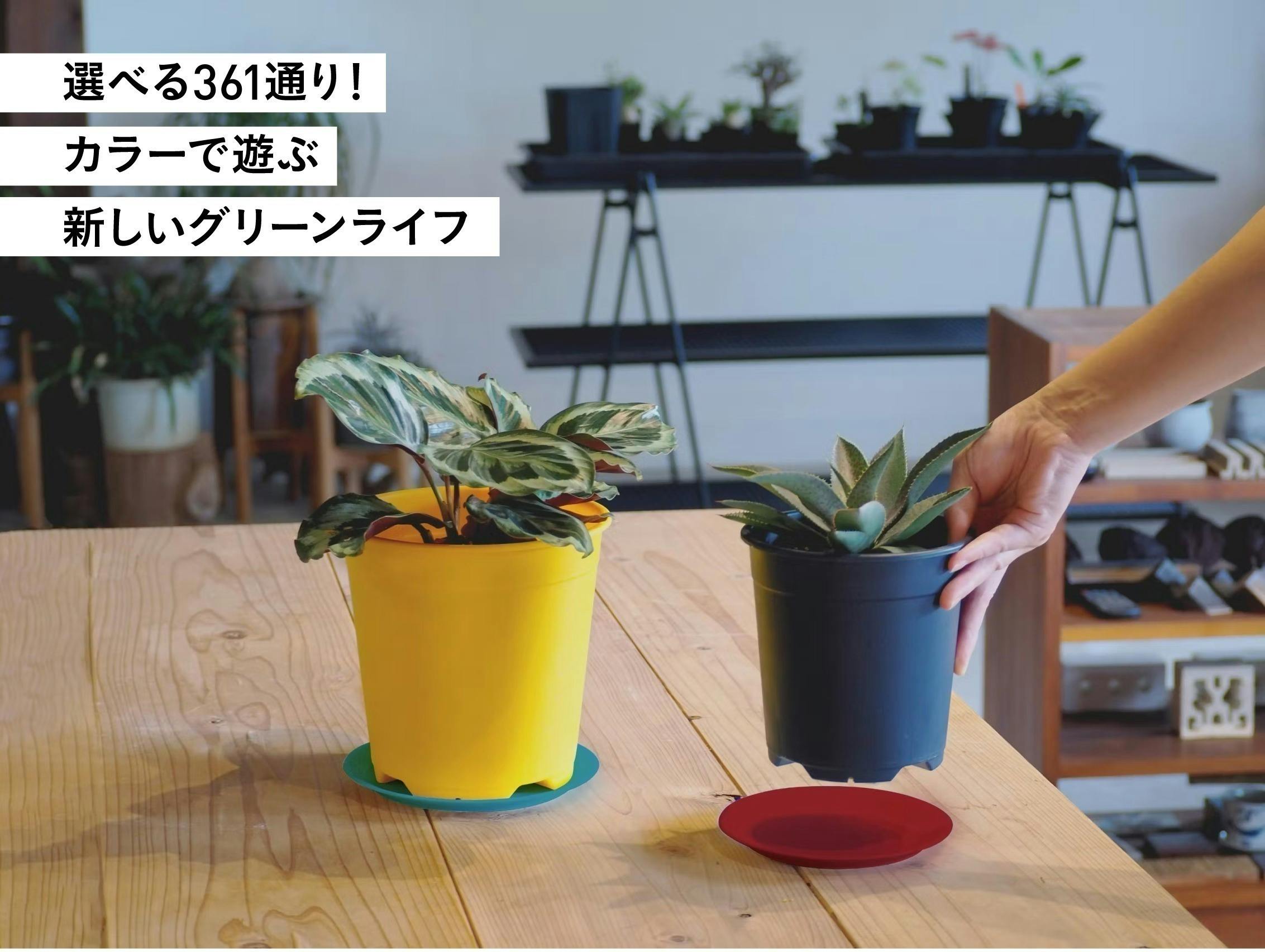 みなさんの「ほしい！」に応えて、19色から選べるオリジナルプラ鉢