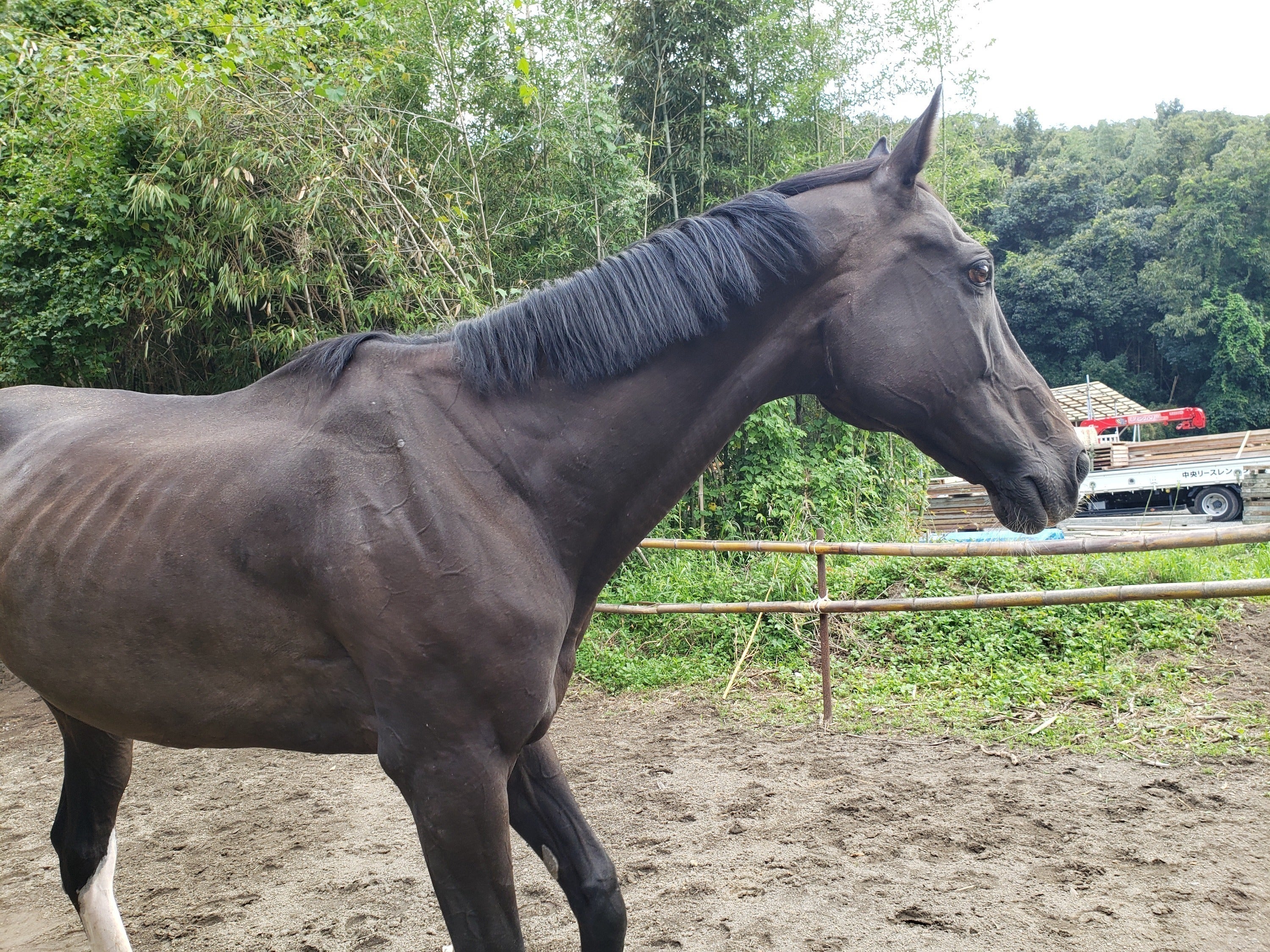 2番目のメイン画像