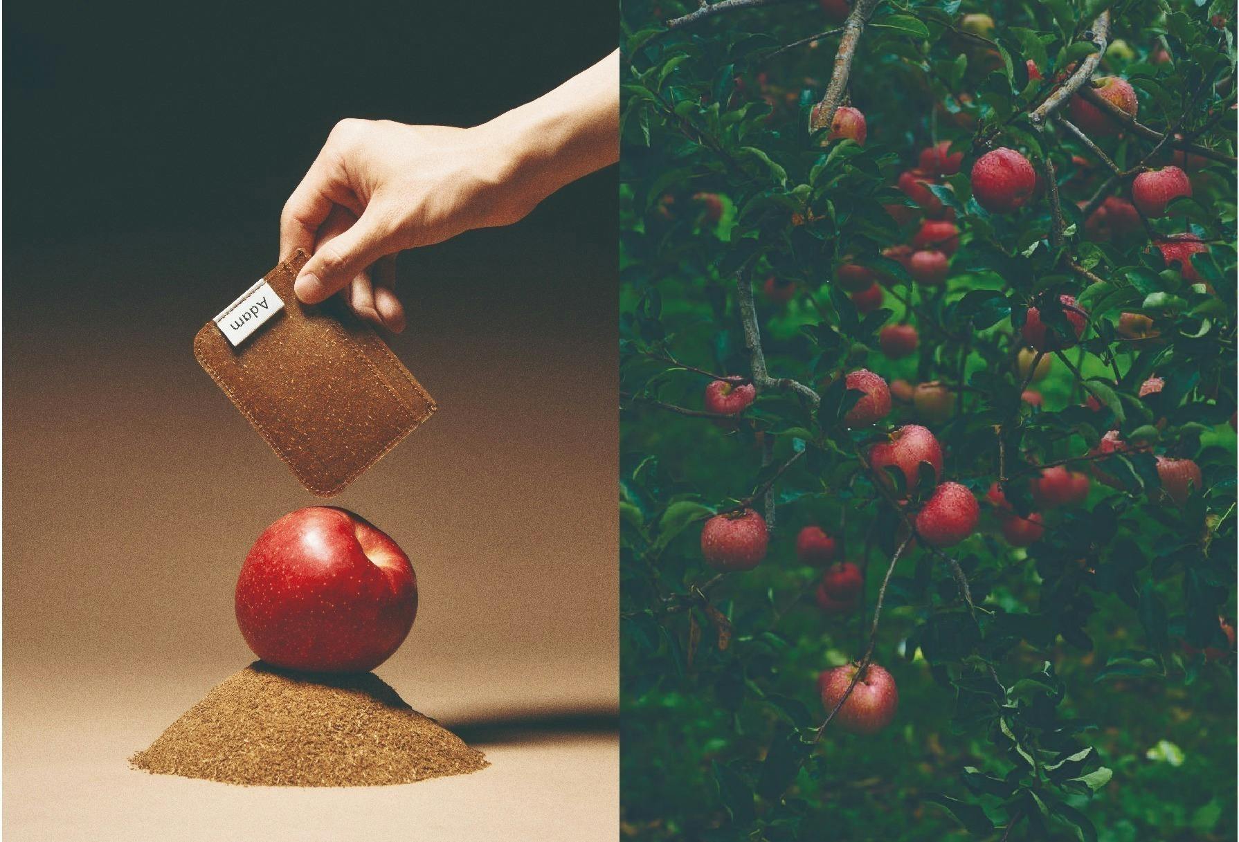 レンゾー・ゴンザレス「CAMPFIRE MAGIC」、厳選、希少画集・額装画 レンゾー・ゴンザレス「CAMPFIRE MAGIC」、厳選、希少画集・額装画