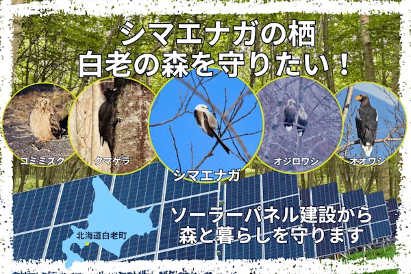 ご当地怪獣　ツーン 静岡】ご当地怪獣ツーンが地元のために立ち上がる！～ご当地怪獣