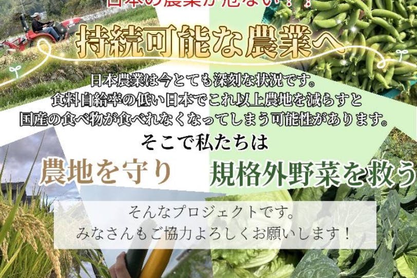 日本農業の地域的分析—たばこ栽培を指標としてみた日本農業の地域的動向 (1979年) 日本農業の地域的分析―たばこ栽培を指標としてみた日本農業の