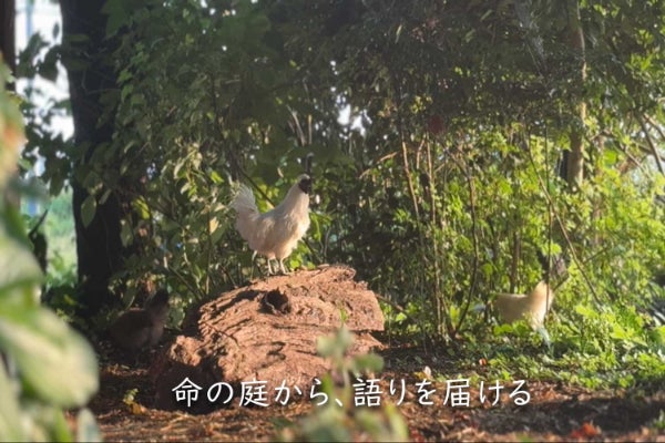 1番目のメイン画像