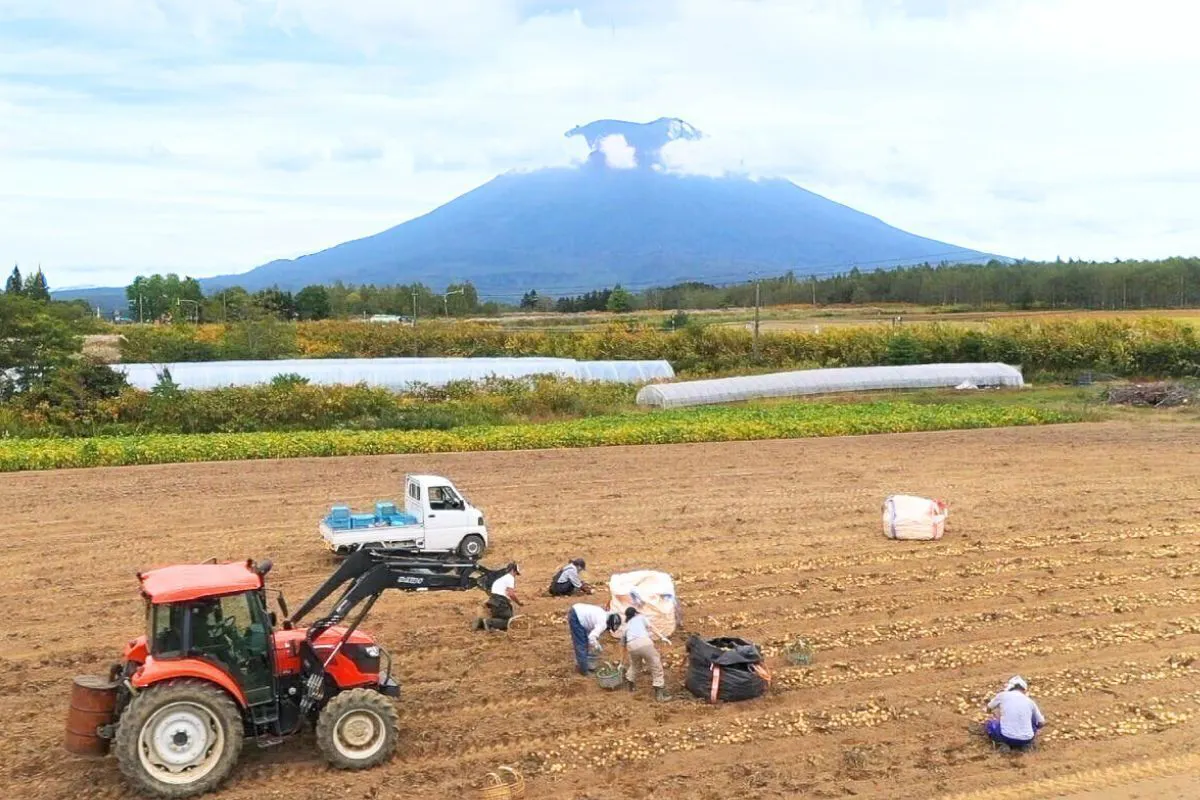 5番目のメイン画像