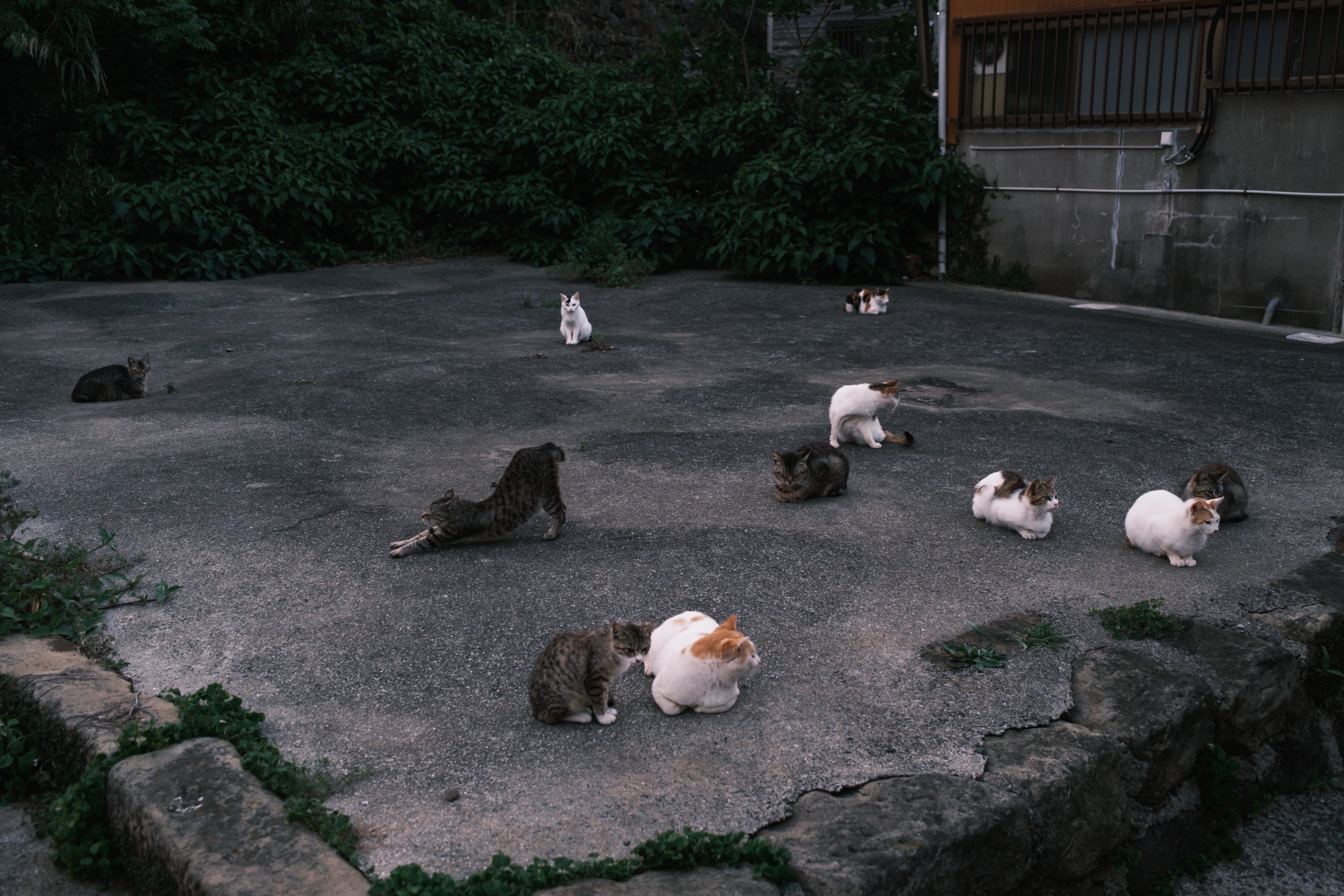 5番目のメイン画像