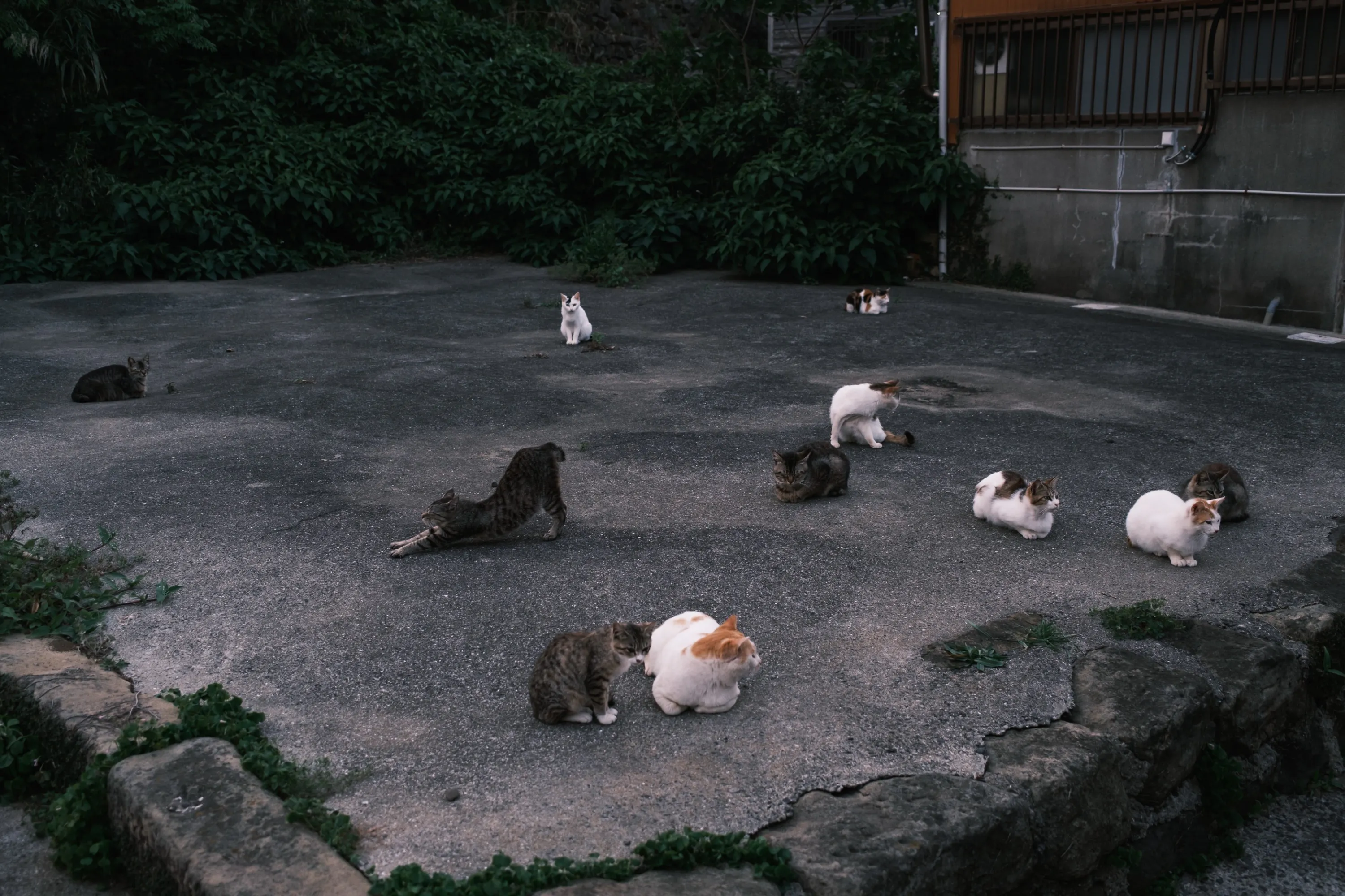 5番目のメイン画像